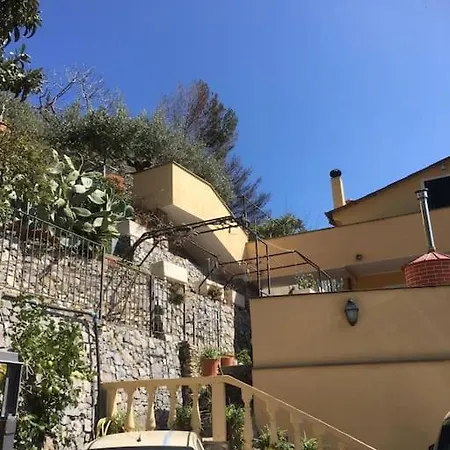 Ulivi E Mare * Laigueglia